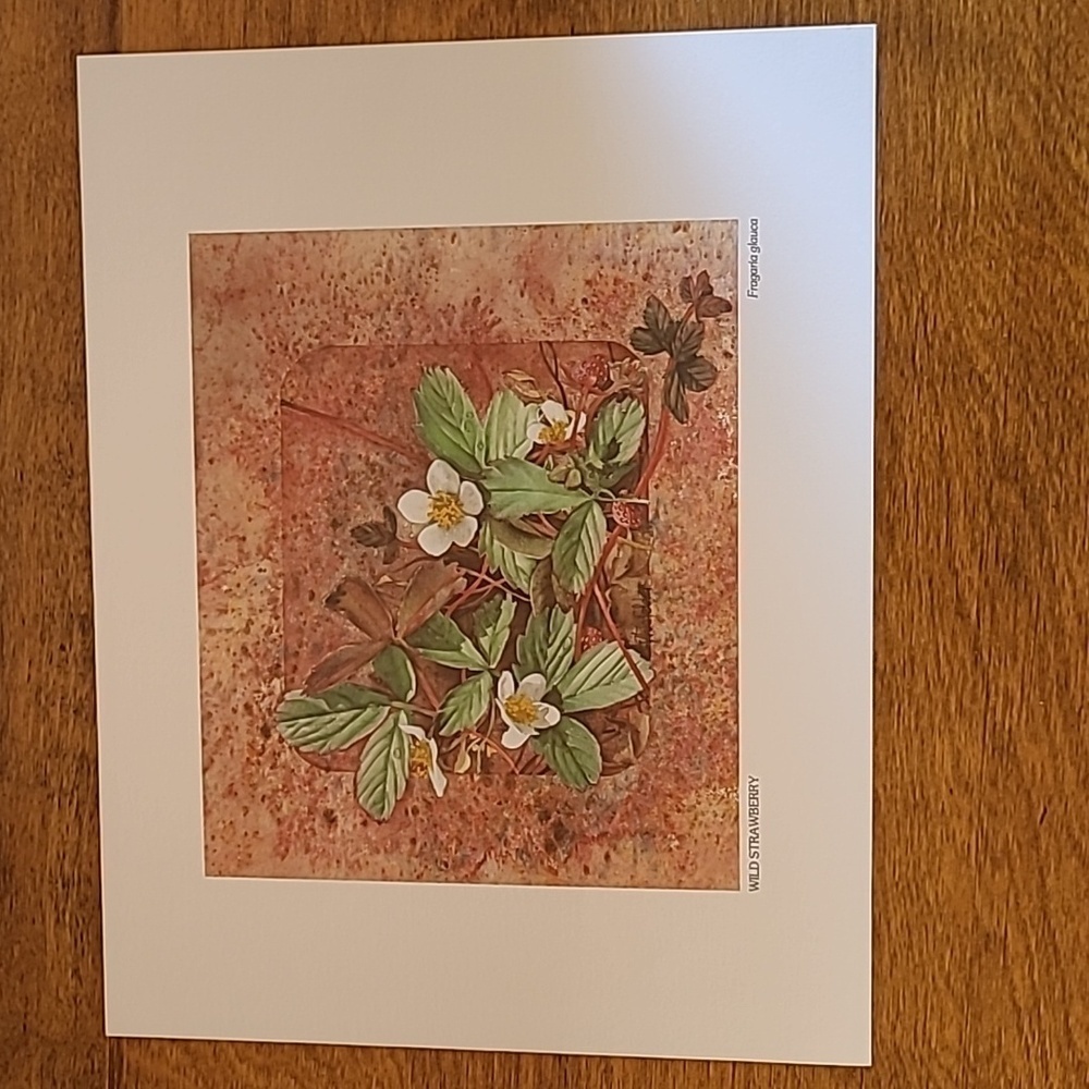 VIVIAN THIERFELDER VINTAGE FLORAL ART PRINTS, Unframed - Picture 9 of 16